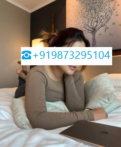 Call Girls In  Rohini Sector 6  9873295104（ ͜.人 ͜.）【कॉल गर्ल】 Delhi EscorTS SerVicE